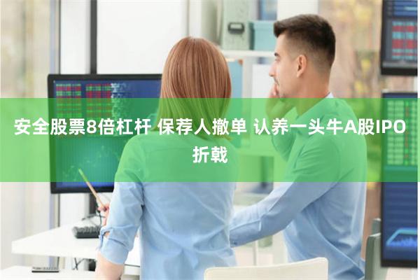 安全股票8倍杠杆 保荐人撤单 认养一头牛A股IPO折戟