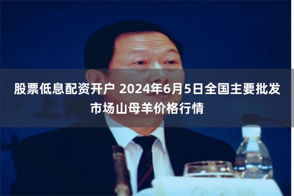 股票低息配资开户 2024年6月5日全国主要批发市场山母羊价格行情