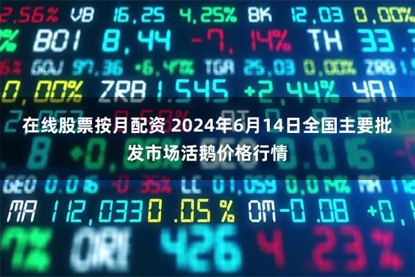 在线股票按月配资 2024年6月14日全国主要批发市场活鹅价格行情