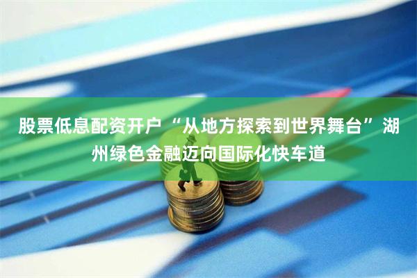 股票低息配资开户 “从地方探索到世界舞台” 湖州绿色金融迈向国际化快车道