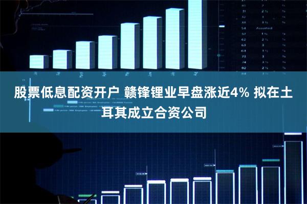 股票低息配资开户 赣锋锂业早盘涨近4% 拟在土耳其成立合资公司